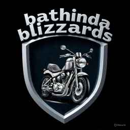 Bathinda Blizzards